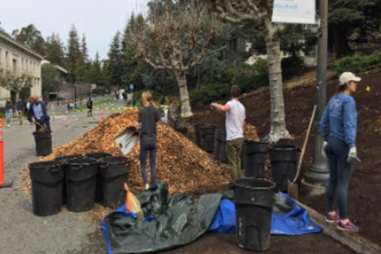 Landscape Services Operations Facilities Services